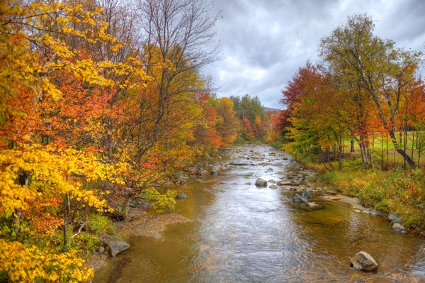  : Autumn Foliage : Boston Photographer | Boston Photos | Urban Photography | Travel photography | Boston |boston mass photos|