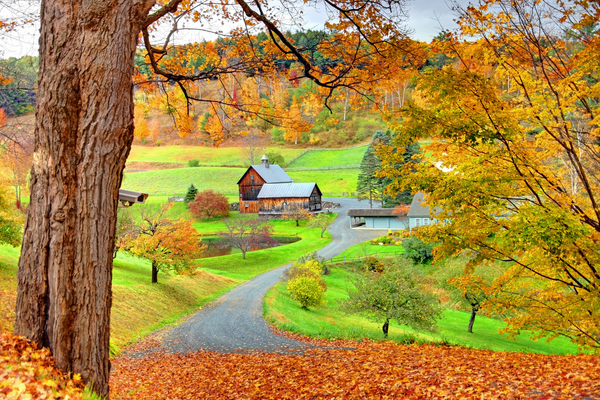  : Autumn Foliage : Boston Photographer | Boston Photos | Urban Photography | Travel photography | Boston |boston mass photos|