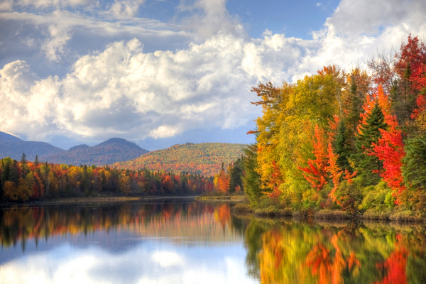  : Autumn Foliage : Boston Photographer | Boston Photos | Urban Photography | Travel photography | Boston |boston mass photos|