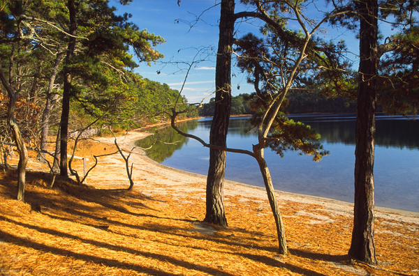 Wellfleet : Massachusetts : Boston Photographer | Boston Photos | Urban Photography | Travel photography | Boston |boston mass photos|