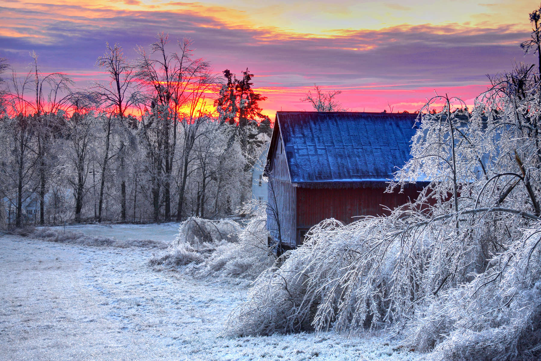 Winter Festivals In New England 2024 Rose Rodina